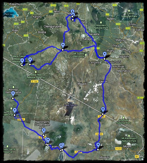 kenya, tanzania, serengeti, nakuru, nakuru lake, manyara, masai mara
