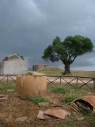 tarquinia_61.JPG