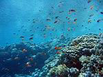 Sharm el Sheikh, Egypt, Egitto, Egipt