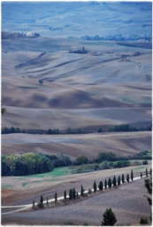 pienza_DSC_7678.JPG