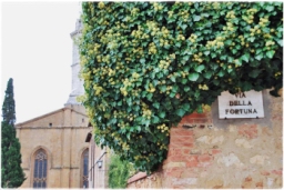 pienza_DSC_7682.JPG