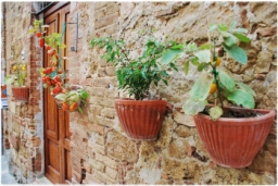 pienza_DSC_7690.JPG