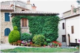 pienza_DSC_7956.JPG
