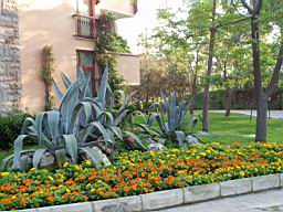 Hotel near Kemer