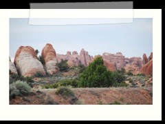 DSC_6558