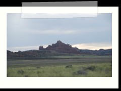 DSC_6617