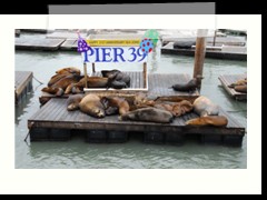 usa_6265