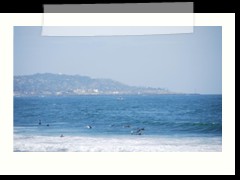 DSC_3036