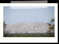 DSC_3609