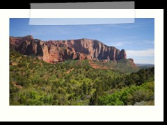 usa_4354