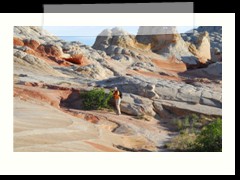 USA_5229