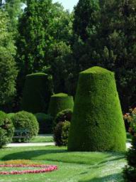 Schnbrunn Garden