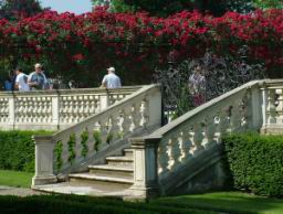 Schnbrunn Garden