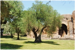 villa_adriana_DSC_2872.JPG