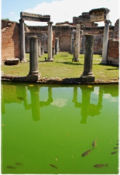 villa_adriana_DSC_3008.JPG