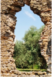 villa_adriana_DSC_3051.JPG