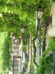 villa_deste_5790.JPG