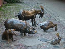 wroclaw_903.JPG