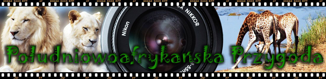 Ashka Travel Pictures. South Africa, Sud Africa, travel to south africa, podroz do rpa, republika poludnowej afryki, sud africa