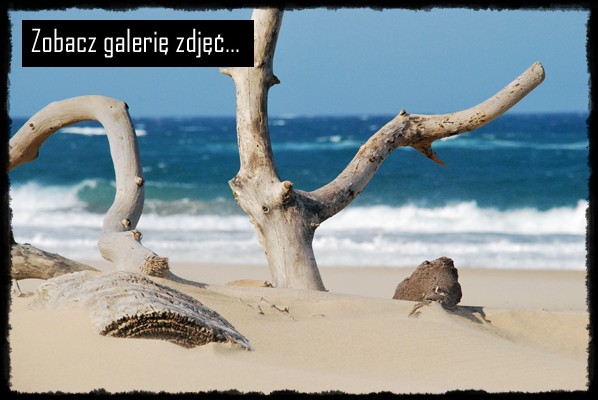 Kwa-Zulu Natal, Rejs po Greater St. Lucia Wetland Park, UNESCO site, Pla�e Oceanu Indyjskiego w okolicach Santa Lucia, iSimangaliso Wetland Park, Mission Rocks, Lake Bhangazi, rpa, republika poludniowej afryki, sud africa