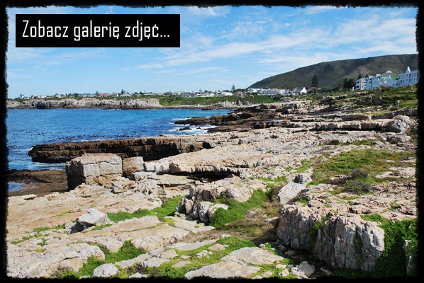 Hermanus, Whale Festival, Cape Town, West Coast National Park, laguna, wydmy